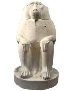 Thot représenté en babouin ou singe cynocéphale - musée du Louvre