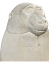 Thot représenté en babouin ou singe cynocéphale - musée du Louvre