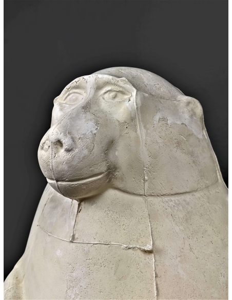 Thot représenté en babouin ou singe cynocéphale - musée du Louvre Thot représenté en babouin ou singe cynocéphale - musée du Louvre