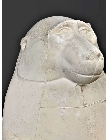 Thot représenté en babouin ou singe cynocéphale - musée du Louvre Thot représenté en babouin ou singe cynocéphale - musée du Louvre