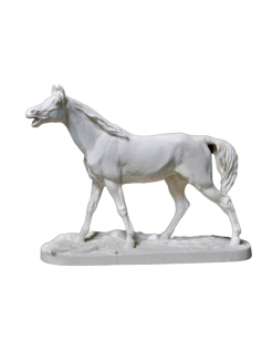 Horse or stallion Barbe by Pierre-Jules Mène