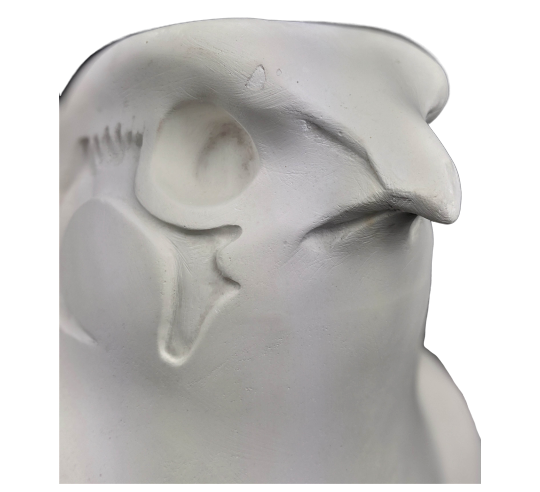 Estatua del Rey Nectanebo II protegido por Horus