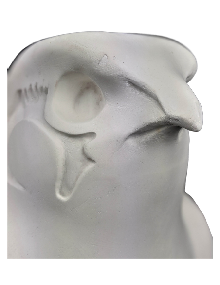 Statue du roi Nectanebo II protégé par Horus