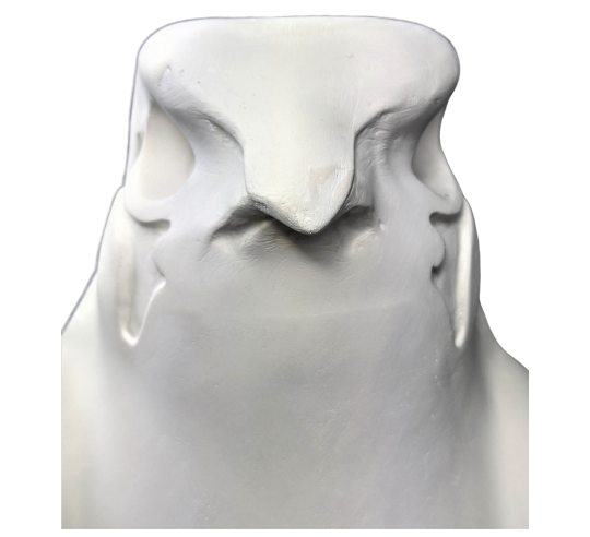 Estatua del Rey Nectanebo II protegido por Horus