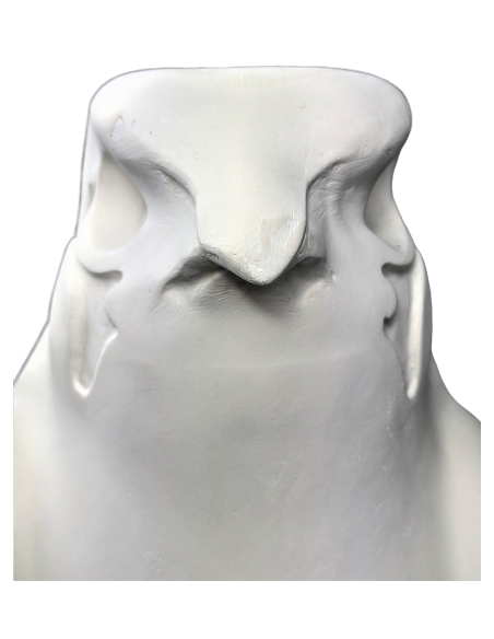 Estatua del Rey Nectanebo II protegido por Horus