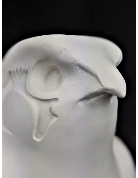 Estatua del Rey Nectanebo II protegido por Horus