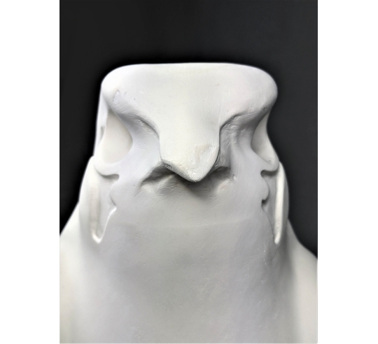 Estatua del Rey Nectanebo II protegido por Horus