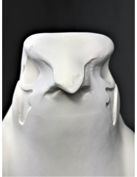 Estatua del Rey Nectanebo II protegido por Horus