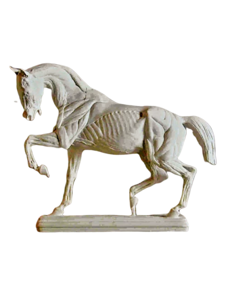 Caballo despellejado por Isidore Bonheur