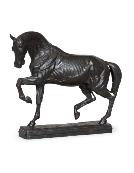 Caballo despellejado por Isidore Bonheur