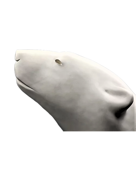 Tête ours blanc par François Pompon Tête ours blanc par François Pompon