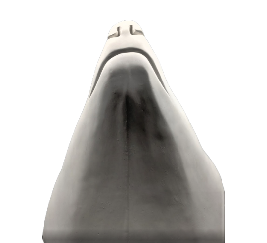 Polar bear head by François Pompon