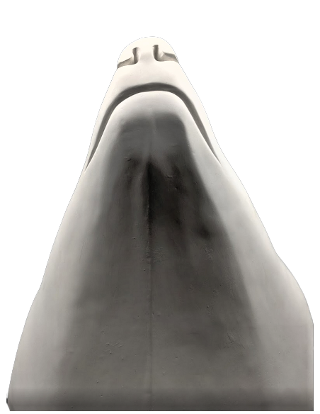 Cabeza de oso polar por François Pompon