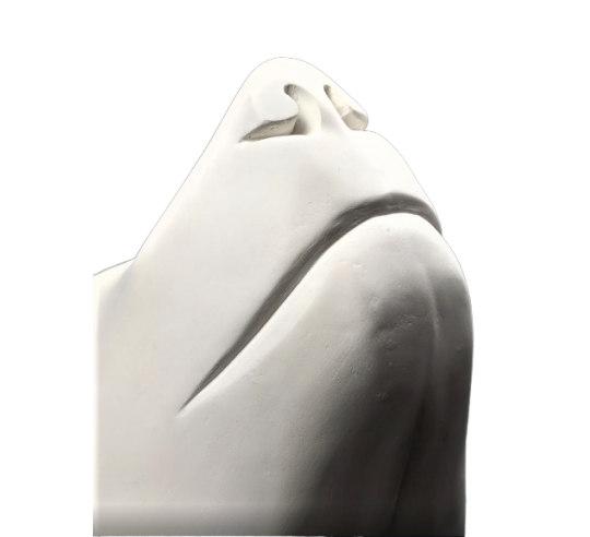 Polar bear head by François Pompon