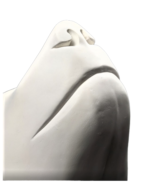 Tête ours blanc par François Pompon Tête ours blanc par François Pompon