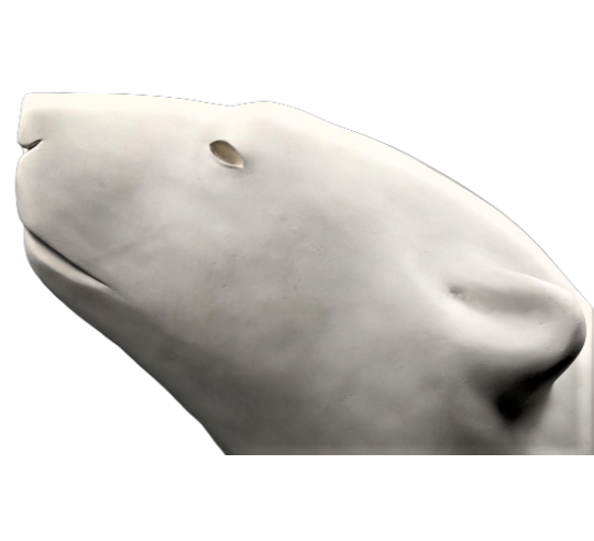Polar bear head by François Pompon
