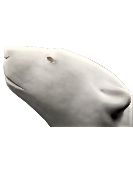 Cabeza de oso polar por François Pompon