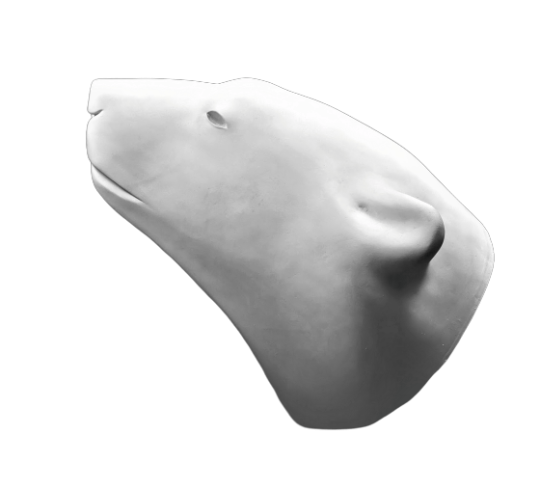 Cabeza de oso polar por François Pompon