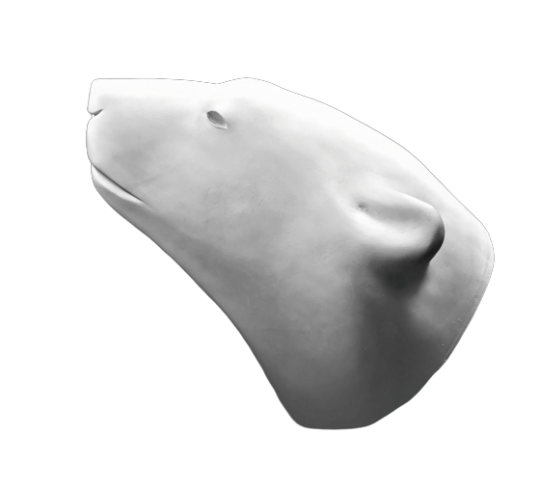 Polar bear head by François Pompon