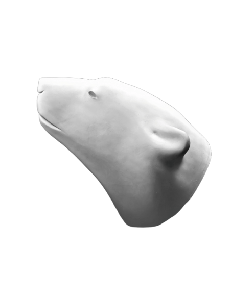 Tête ours blanc par François Pompon Tête ours blanc par François Pompon