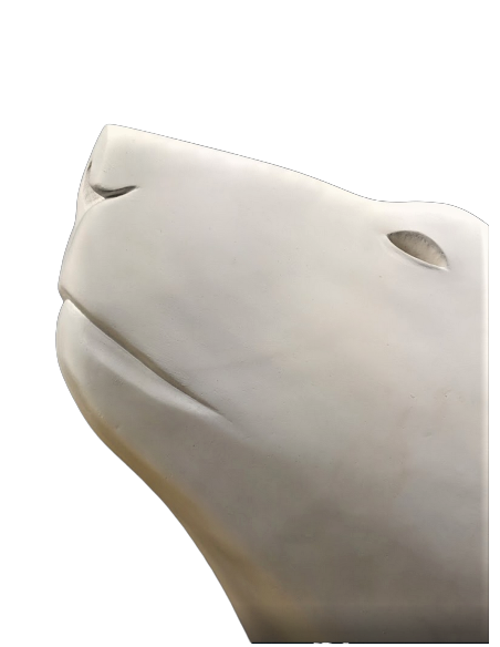 Tête ours blanc par François Pompon Tête ours blanc par François Pompon