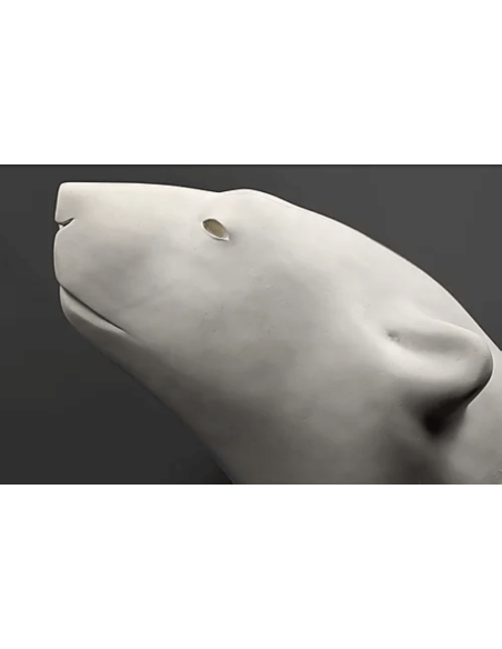 Cabeza de oso polar por François Pompon