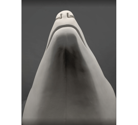 Polar bear head by François Pompon