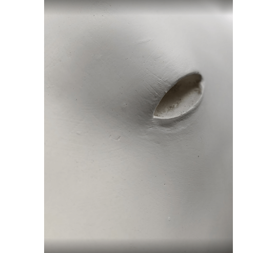Polar bear head by François Pompon