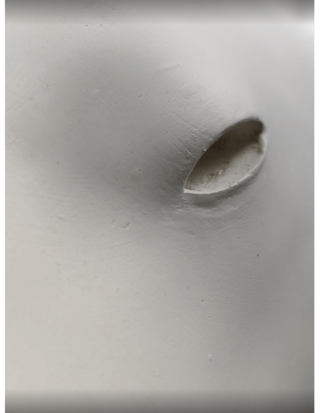 Tête ours blanc par François Pompon Tête ours blanc par François Pompon
