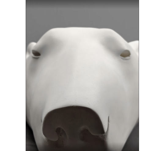 Cabeza de oso polar por François Pompon