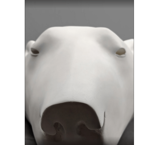 Polar bear head by François Pompon