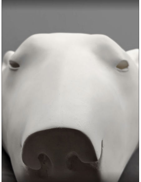 Tête ours blanc par François Pompon Tête ours blanc par François Pompon
