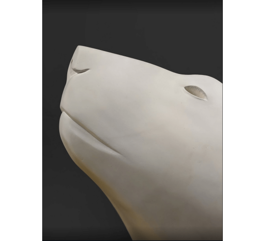 Polar bear head by François Pompon