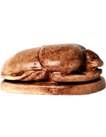 Scarabée Égyptien Scarabée Égyptien