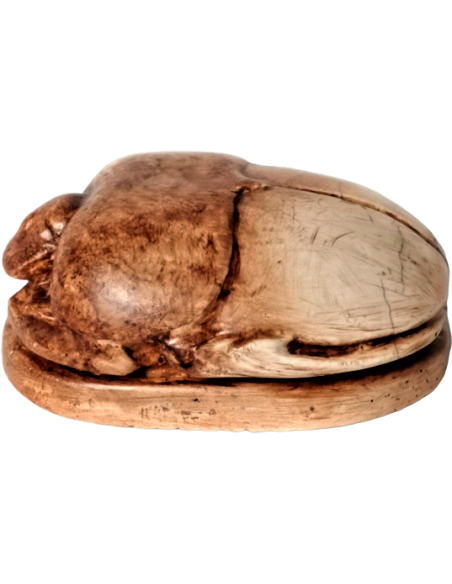Scarabée Égyptien Scarabée Égyptien