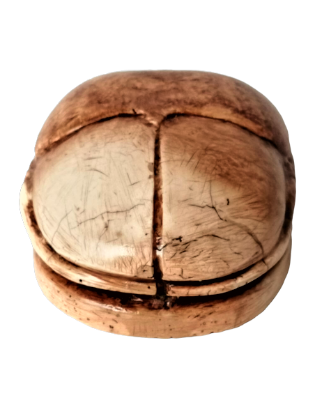 Scarabée Égyptien Scarabée Égyptien