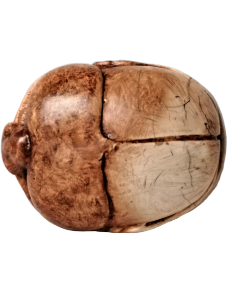 Scarabée Égyptien Scarabée Égyptien