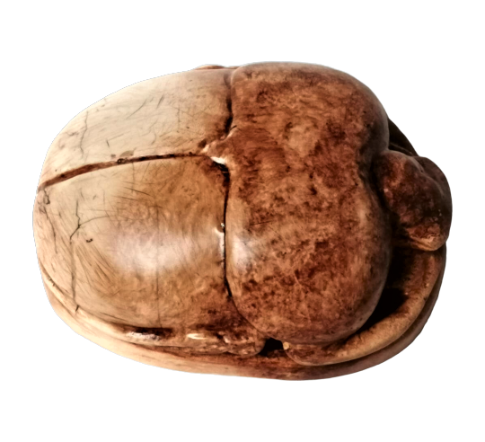 Egyptian Beetle