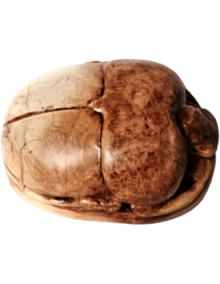 Scarabée Égyptien Scarabée Égyptien