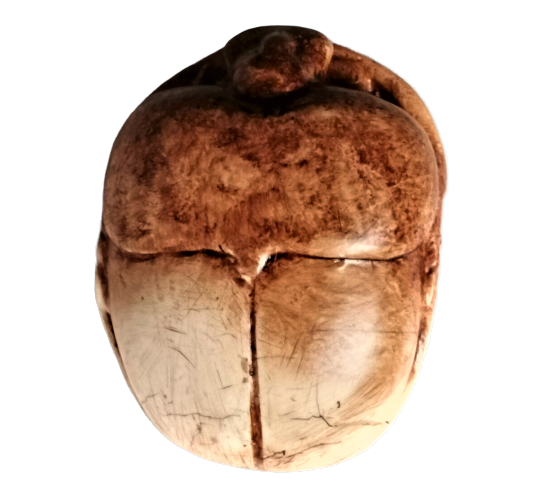 Scarabée Égyptien