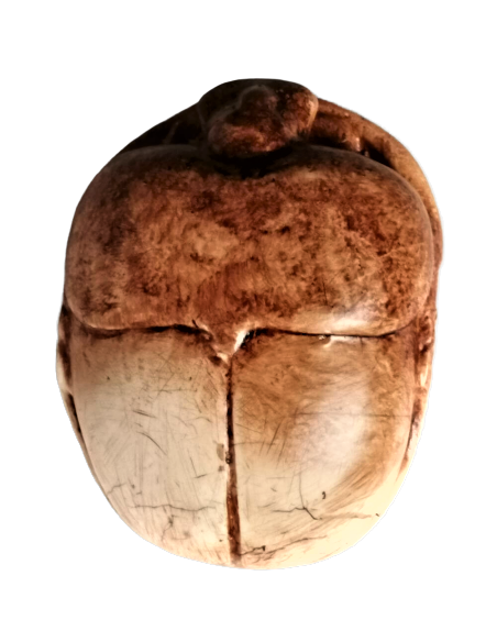 Scarabée Égyptien Scarabée Égyptien