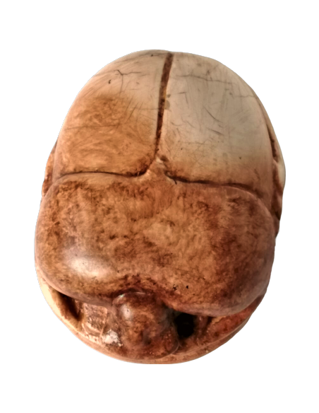 Scarabée Égyptien Scarabée Égyptien