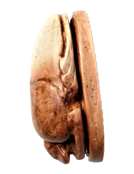 Scarabée Égyptien Scarabée Égyptien