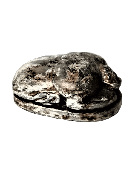 Scarabée Égyptien Scarabée Égyptien