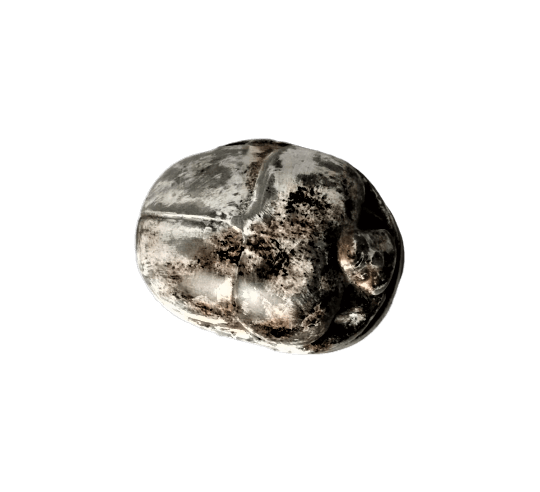 Escarabajo Egipcio