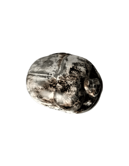 Scarabée Égyptien Scarabée Égyptien