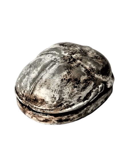 Scarabée Égyptien Scarabée Égyptien