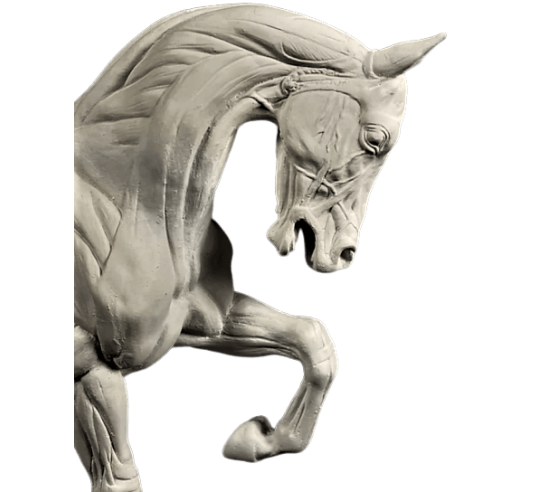 Cheval écorché par Isidore Bonheur