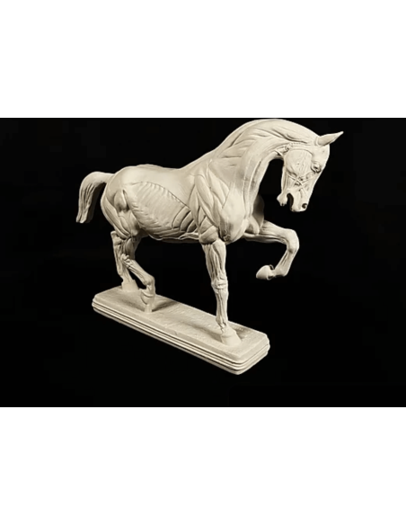 Caballo despellejado por Isidore Bonheur