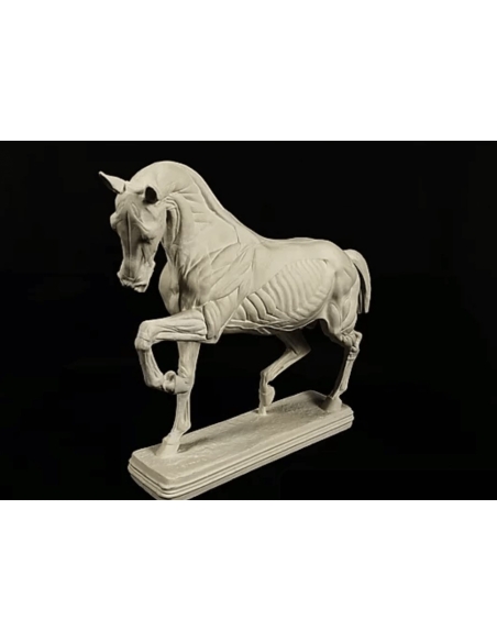 Caballo despellejado por Isidore Bonheur